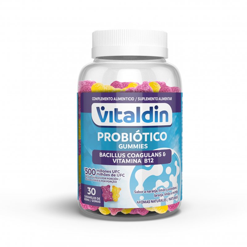Vitaldin Probiótico com Vitamina B12 - Caixa 6 Unidades